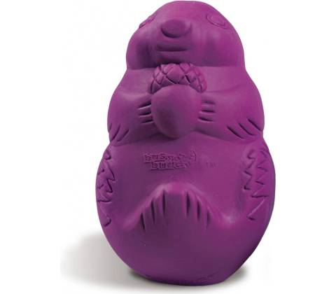 PetSafe Squirrel Dude S