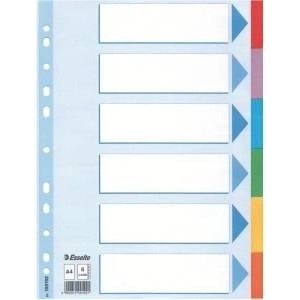 Esselte Binders for A4 binder with descriptive card cardboard (10K061DZ)