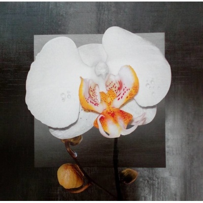 Bílá orchidej 1 deska 32x32