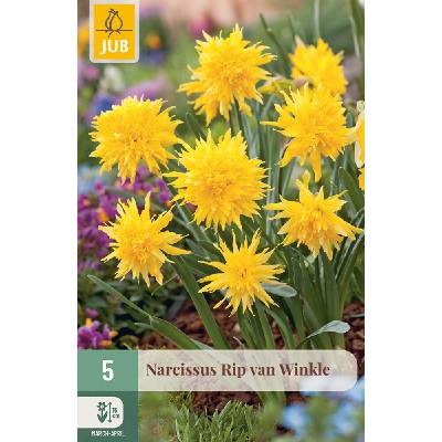JUB Narcis - Rip van Winkle