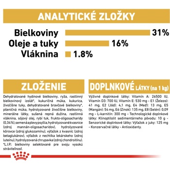 Royal Rottweiler Puppy 12 kg
