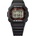 Casio DW-5000R-1A
