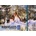 Renesans 09.3606 Скицник 12 17, 5 x 24, 5 cm 300 g White (09.3606)