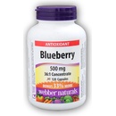Webber Naturals Borůvky blueberry 500 mg 120 kapslí