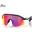 Oakley STUNT DEVIL