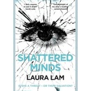 Shattered Minds