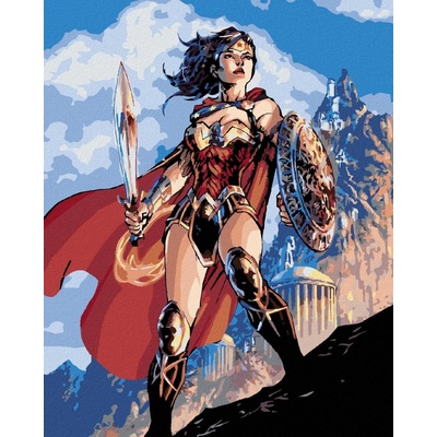 Zuty Wonder woman meč a štít 40 x 50 cm vypnuté plátno na rám 8596530192497