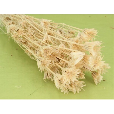 Nigela (černucha orientální) sušená bělená 50 g