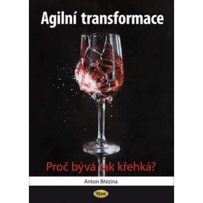 Agilní transformace