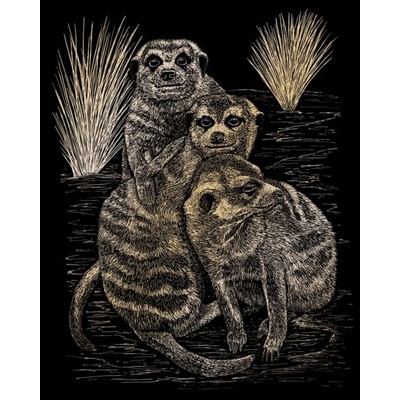 Zlatý škrabací obrázok Surikaty