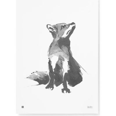 Teemu Järvi Plakát s motivem lišky Red Fox 50x70