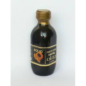 Solio Meruňkový olej 0,1 l