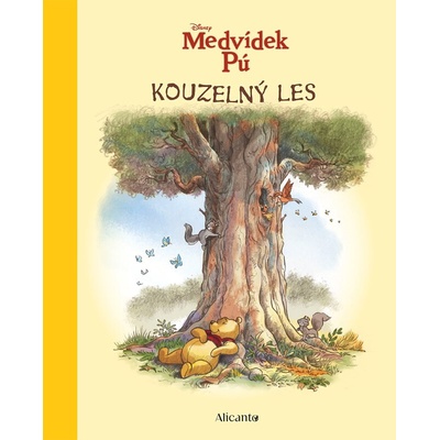Medvídek Pú - Kouzelný les