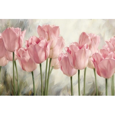 Růžové tulipány plátno 1 120x80