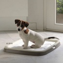 Sada Puppy Trainer Starter Set Large, 7 vložek