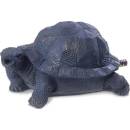 Pontec Water Spout Turtle