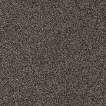 Modulyss Belgie Gleam 894 hnědá