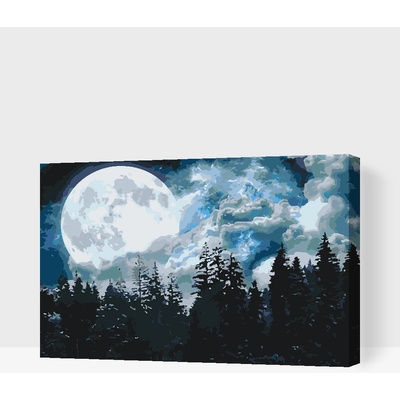 Vymalujsisam.cz Malování podle čísel Úplněk nad lesem