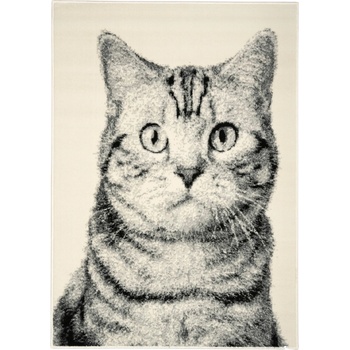 Alfa Carpets Cat Grey