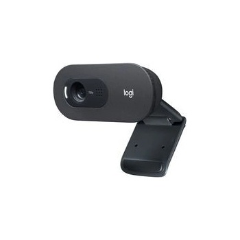 Logitech C505e HD Webcam