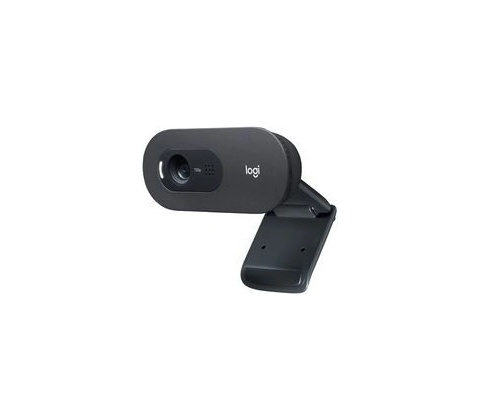 Logitech C505e HD Webcam