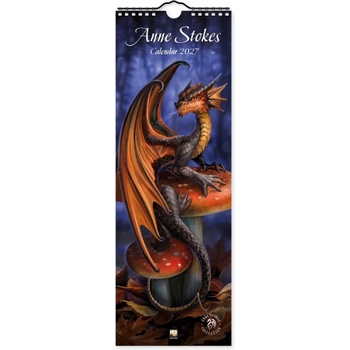 Flame Tree Publishing Anne Stokes Slim Calendar 2027 (Art Calendar) | WALL