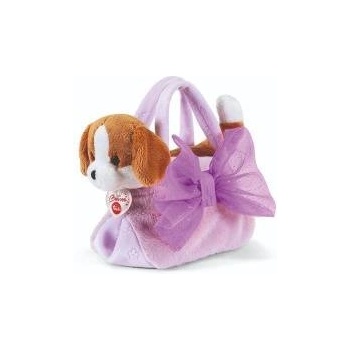 Trudi dog in a bag