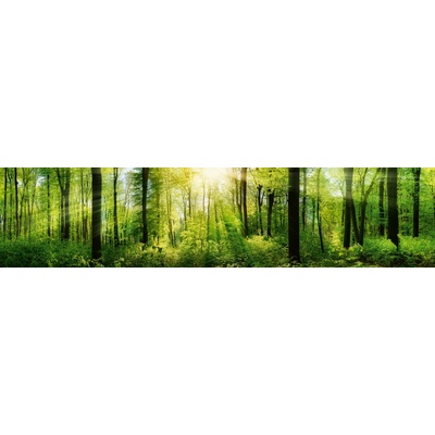 Dimex KI260-133 Fototapeta do kuchyně Forest rozměry 260 x 60 cm