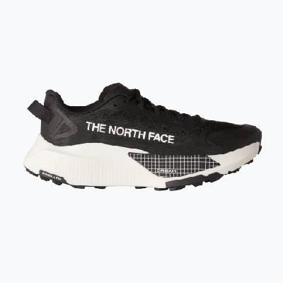 Мъжки обувки за бягане The North Face Altamesa 500 V2
