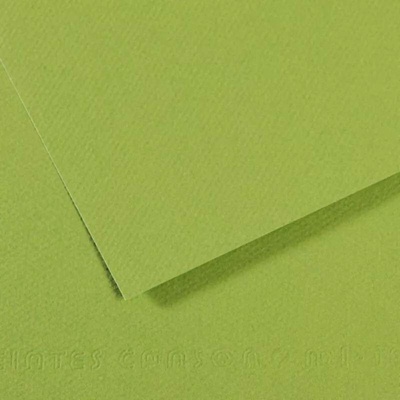 Canson Mi-Teintes barevný papír 21 x 29,7 cm A4 48 odstínů 475 Apple green