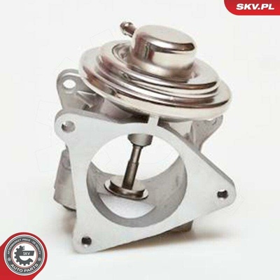 AGR-Ventil ESEN SKV 14SKV019