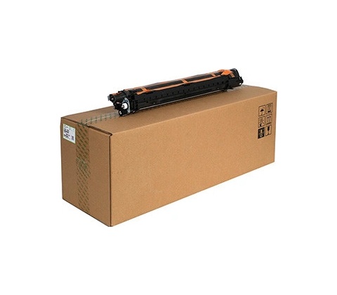 Ricoh D1863052 - originálny