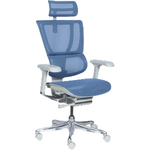Ergohuman Ергономичен стол ergohuman ioo elite 2 - сива рамка - син (3520672) - tierradesign