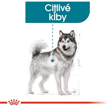 Royal canin Maxi Joint Care 10 kg