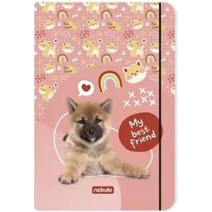 Nebulo Пластмасова папка „Best Friend - формат А4