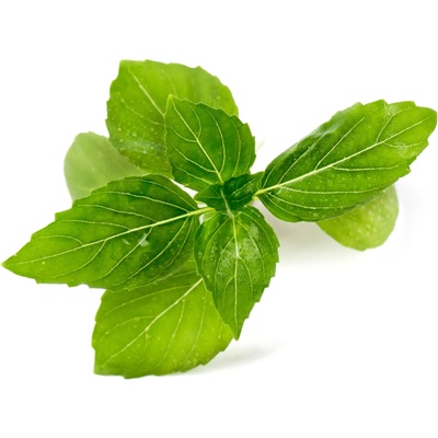 VÉritable (Франция) Пълнител (лингот) Cinnamon Basil Organic за настолна градина Véritable® - канелен босилек (VLIN-O10-Bas00E)