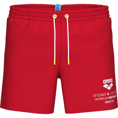 arena Graphic beach short m