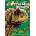 Carnivorous Dinosaurs | Kenneth Carpenter