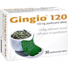 Gingio 120 filmom obalené tablety tbl.flm.30 x 120 mg