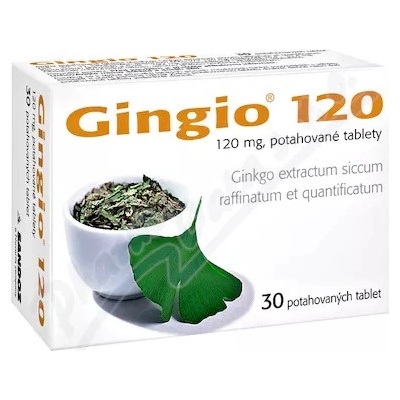Gingio 120 filmom obalené tablety tbl.flm.30 x 120 mg
