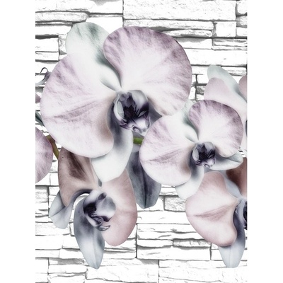 Preinterier Fototapeta panel - PL0215 - Sivé kvety vlies - 206cm x 275cm