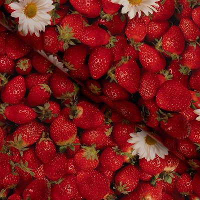 PVC obrus Jahody PV-137 - metráž š. 140 cm