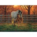Cobble Hill - Puzzle Quiet Time - 500 piese