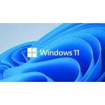 Microsoft Windows 11 Pro 64bit HUN (FQC-10537)