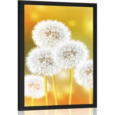 Plakát nadýchaná pampeliška - 40x60 no frame