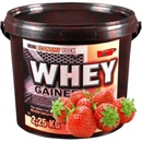 Vision Nutrition Whey Gainer 2250 g