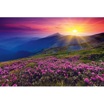 DIMEX ART s. r. o Флизелинов фототапет вълшебен рододендрон 375 x 250 см