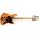 Henry`s Lizard DB2-04 Dragon Orange Aged