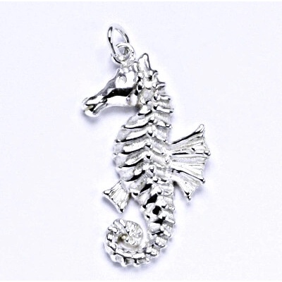 Čištín Stříbrný přívěšek mořský koník P 943