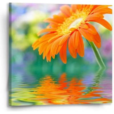 Sablio Obraz Oranžová gerbera - 50x50 cm